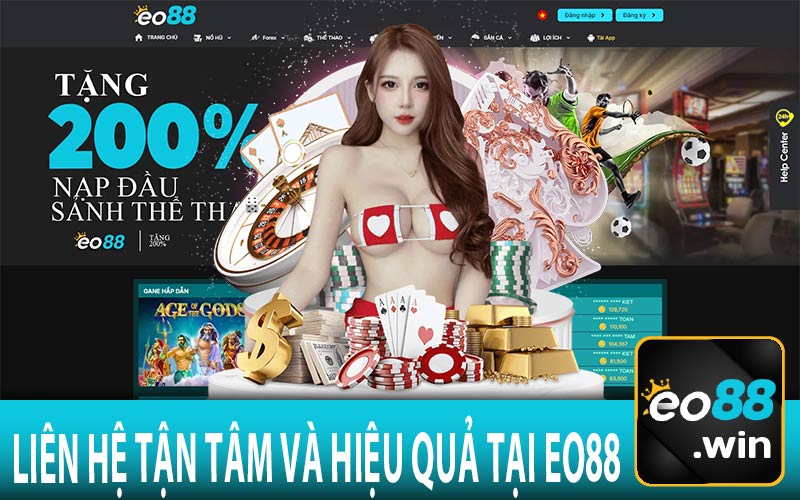 Liên Hệ Tận Tâm và Hiệu Quả tại EO88