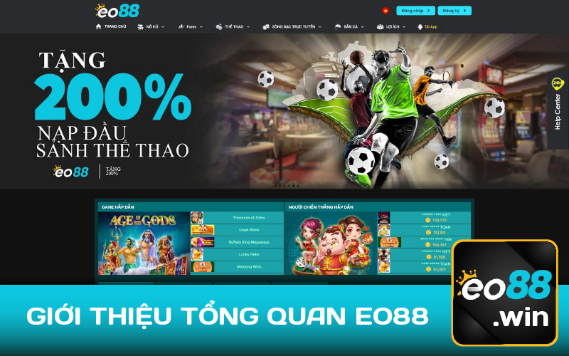 Giới Thiệu Tổng Quan Eo88